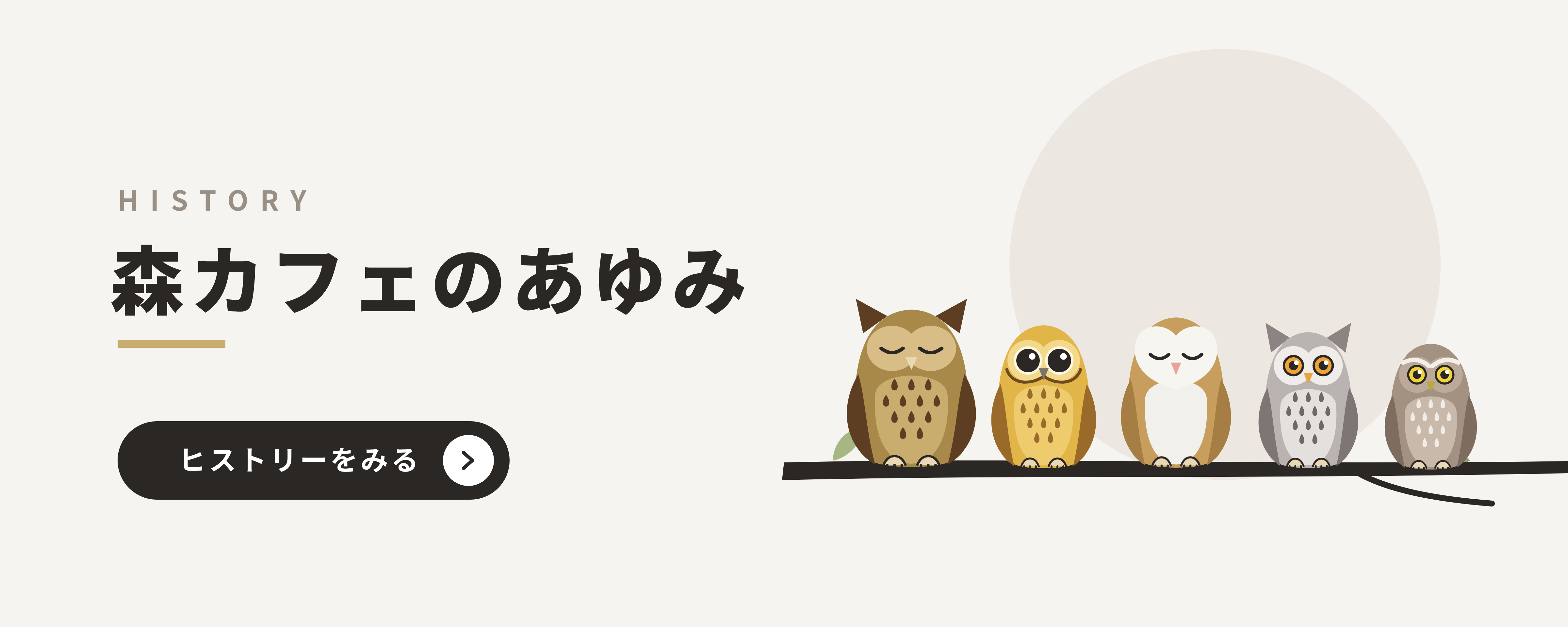 森カフェのあゆみ ヒストリーをみる