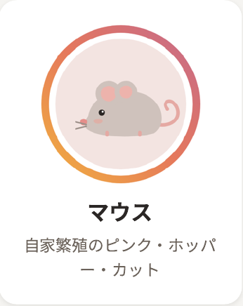 マウス 詳細を見る