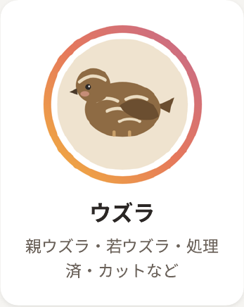 ウズラ 詳細を見る
